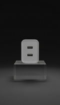 Dual-port compact wall charger